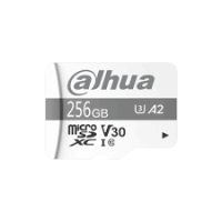 Dahua DHI-TF-P100 256GB microSD Card