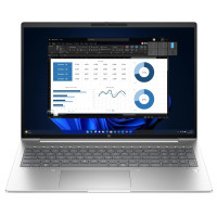 Notebook HP ProBook 465 G11 Pike Silver