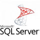 SQL Server 2019 - 1 User CAL (corporate CSP license for 1 user)