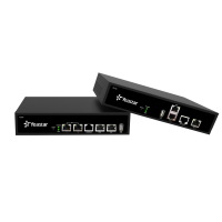 VoIP-шлюз E1/T1/PRI Yeastar TE100/TE200 — цифровой транк для IP-систем